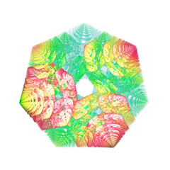 abstract hexagon textured petals assorted colors