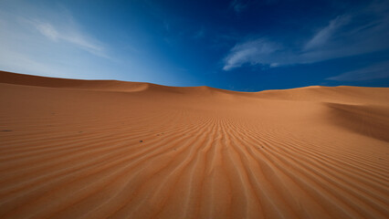 Fototapeta na wymiar Sahara desert landscape with wavy sand pattern 3D render image