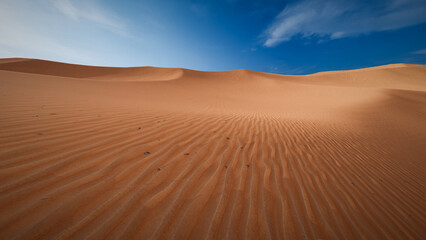 Obraz na płótnie Canvas Sahara desert landscape with wavy sand pattern 3D render image