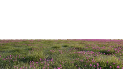 Tuinposter grass and flower beautiful field © Nawaphon