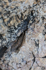 Sea rocks abstracts close up modern background high quality big size print