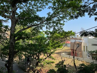 Forests of Rural Bangalore