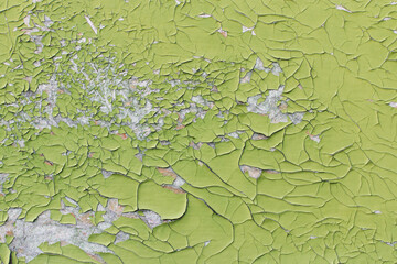 Old wooden surface with scaly paint as an abstract background. Green paint on plywood. Texture.