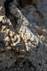 Sea rocks abstracts close up modern background high quality big size print
