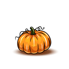 Orange pumpkin, different types of Cartoon pumpkins. halloween, fall harvest gourds. Pumpkins, squash and leaves vector symbols illustrations. Autumn thanksgiving and halloween pumpkins