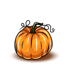 Orange pumpkin, different types of Cartoon pumpkins. halloween, fall harvest gourds. Pumpkins, squash and leaves vector symbols illustrations. Autumn thanksgiving and halloween pumpkins