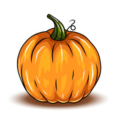 Orange pumpkin, different types of Cartoon pumpkins. halloween, fall harvest gourds. Pumpkins, squash and leaves vector symbols illustrations. Autumn thanksgiving and halloween pumpkins