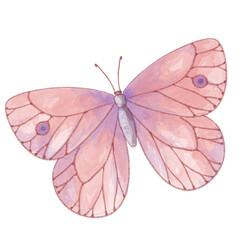 Watercolor butterfly isolated illustration.
