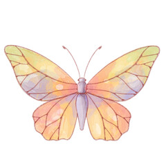 Watercolor butterfly isolated illustration.