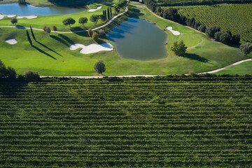 Aerial view of vineyard. Colorful landscape of vineyards in the background of a golf course.