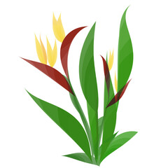 flower and leaves isolated on white