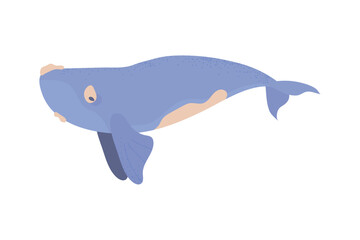 whale icon isolated