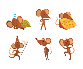Set of mice in various activities. Funny curios brown rodent animal character cartoon vector illustration