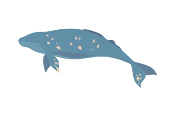 Stof per meter Walvis gray whale icon