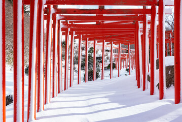 雪と赤い鳥居