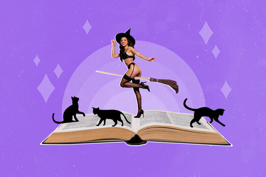 Composite collage image of sexy hot woman hat underwear stockings witch riding broomstick black cats spell sorcery book sabbath black magic