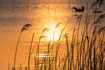 朝焼けの十三湖