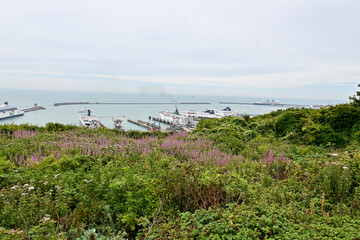 Blick auf den Hafen von Dover / Dover ferries