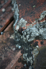 Old roof tiles with lichens closeup vintage background high quality big size print