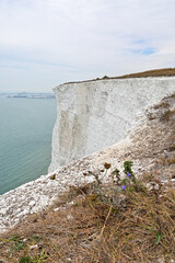 The White Cliffs of Dover, Klippen mit Wanderweg und Wiesen, Dover in Kent, England