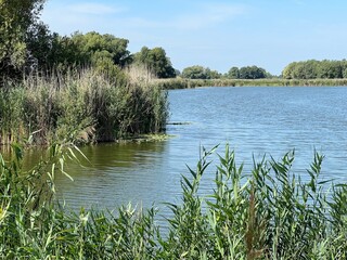 Kaisevac lake / Grabovo reservoir or Grabovo-Kaisevac pond - Vukovar, Croatia (Jezero Kaiševac / Akumulacija Grabovo ili ribnjak Grabovo-Kaiševac - Srijem, Hrvatska)