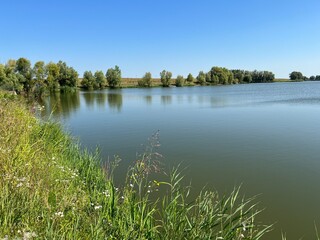 Kaisevac lake / Grabovo reservoir or Grabovo-Kaisevac pond - Vukovar, Croatia (Jezero Kaiševac / Akumulacija Grabovo ili ribnjak Grabovo-Kaiševac - Srijem, Hrvatska)