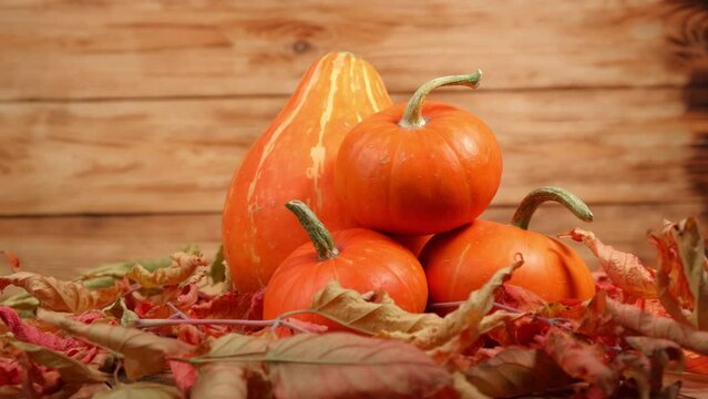natural ripe orange pumpkins with autumn leaves rotate against the background of wooden planks of the table. thanksgiving day. pumpkin harvest in autumn. bright festive autumn background. 4k.