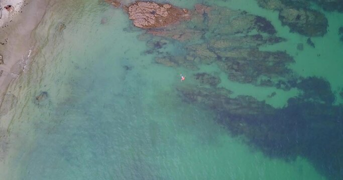 Aerial drone view of a person snorkeling in vibrant green waters of the Atlantic coast near Galicia, Spain.