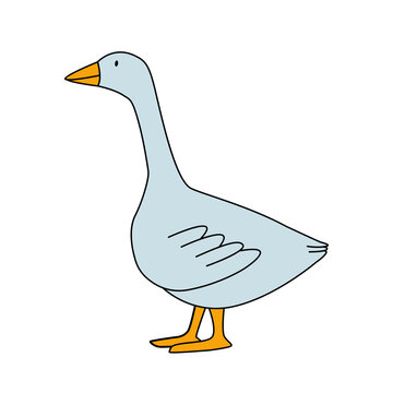 Cute flat cartoon goose. Vector illustration isolated on white background. Farm animal for kids