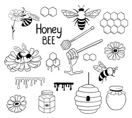 Set with honey bee, honeycomb and beehive isolated on white. Insect in hand drawn outline style. Collection of vector monochrome doodle illustration.