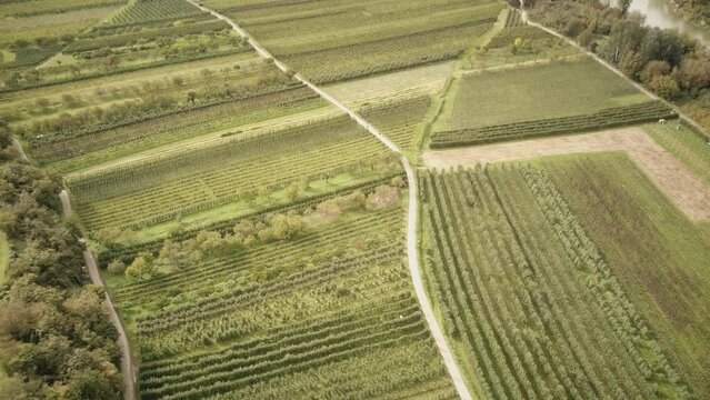 Drone Footage from the wonderful Wachau in Lower Austria over an apple and apricot field
