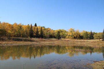 autumn trees reflected in water
