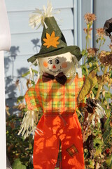 Fototapeta na wymiar scarecrow in the garden