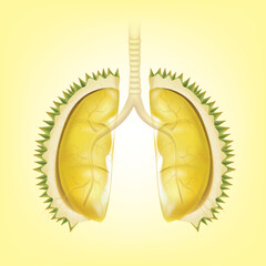 Lung shaped durian fruit illustration