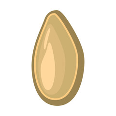 pine seed grain
