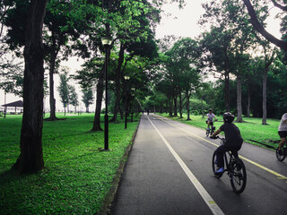 People cycling on a dedicated cycling path in East Coast Park, Singapore. Recreational activities...