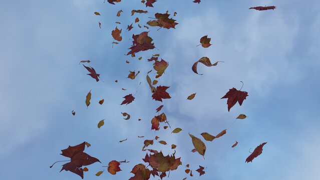 Seasonal Background With Fall Leaves Blowing In The Wind. Overcast Sky Banner With Copy-space.