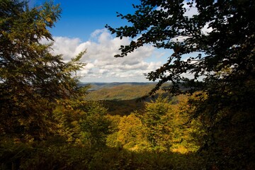Fototapeta Bieszczadzkie krajobrazy jesienią obraz