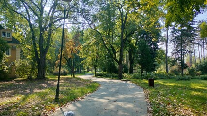 Fototapeta premium Futoshka park in Novi Sad, Serbia.