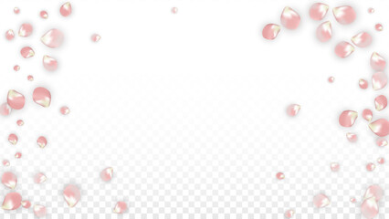 Pink Vector Realistic Petals Falling on Transparent Background.  Spring Romantic Flowers Illustration. Flying Petals. Sakura Spa Design. Blossom Confetti. Design Elements for Wedding Decoration.