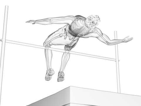 3d rendered medically accurate illustration of a high jumper