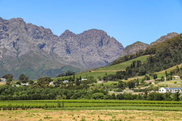 Fototapeta na wymiar cape wine country landscape with mountains and trees