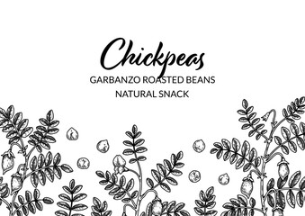 Hand drawn chickpeas botany background. Vector illustration in sketch style. Packaging design