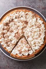 Sweet pie with a filling based on rice pudding topped with whipped cream and chocolate chips close-up in a plate on the table. Vertical top view from above