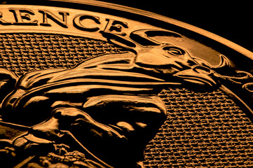 Gold coin with a bull on it. Bull Market Stock exchange symbol high contrast Golden light Dark background extreme macro