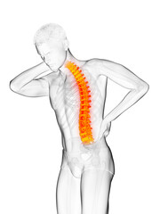 3d rendered medically accurate illustration of man having a backache