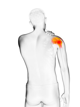 3d rendered medically accurate illustration of a man having a painful shoulder