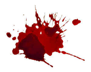 Isolated puddle of blood, a dense red liquid isolated on a white surface. Splattered elements creating lines and areas.
 - obrazy, fototapety, plakaty