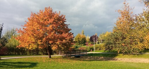 autumn in the park