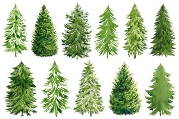 Collection watercolor Christmas trees, modern design. For printed materials - flyers, poster, greeting card, invitations